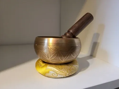 Verified buyer photo of the set bowl resting on its cushion